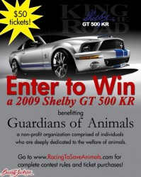 ShelbyGT500Raffle