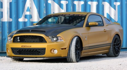 ShelbyGT640GoldenSnake (9)