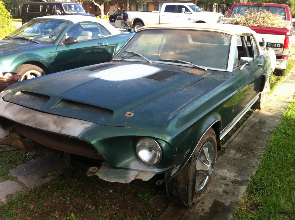 1968ShelbyGT500conv_garagefind (5)