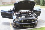 2015MustangmuleEngineBay (2)