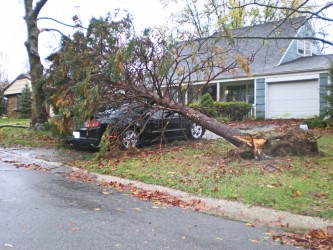 HurricaneSandyMustanginMaryland