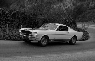 GT-350_Feb_1965_neg_ser_143300_003