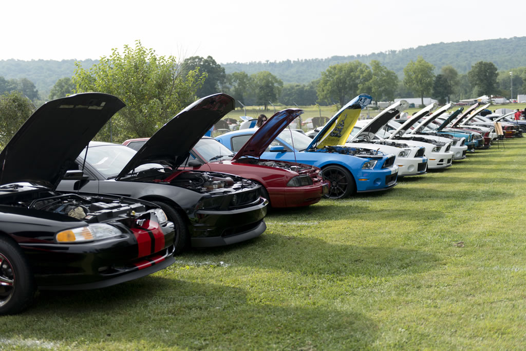 American Muscle Car Show Was a Big Success! Mustang Specs