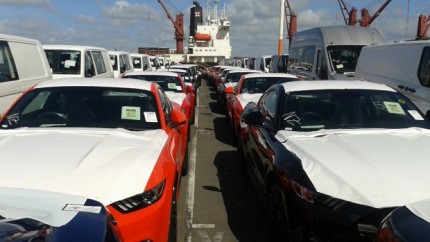 NewZealand_2015Mustangs