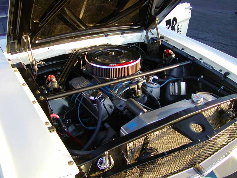 1965 Shelby GT350 Engine