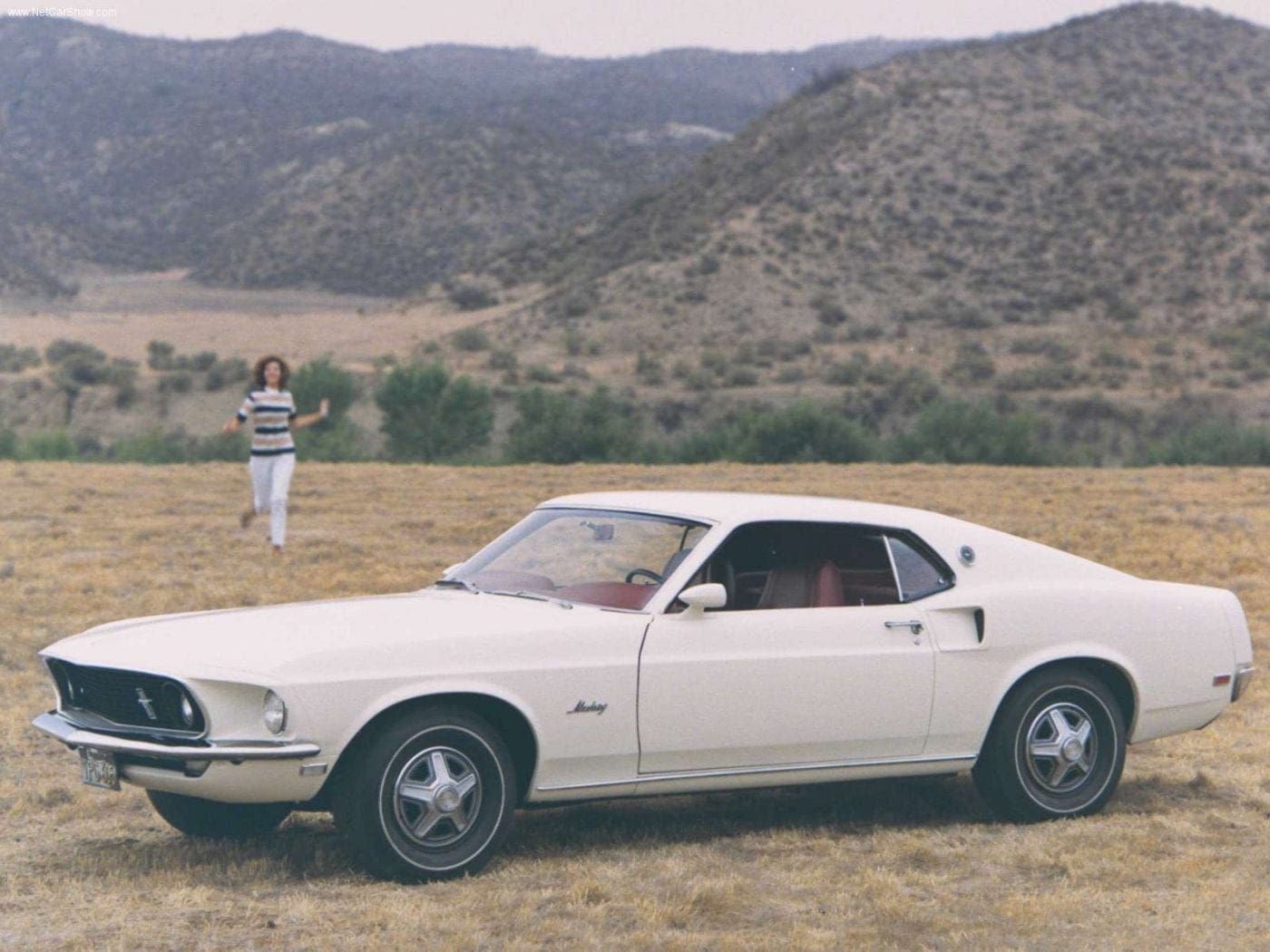 DIFFERENCE BETWEEN 1968 AND 1969 MUSTANG visual data 6