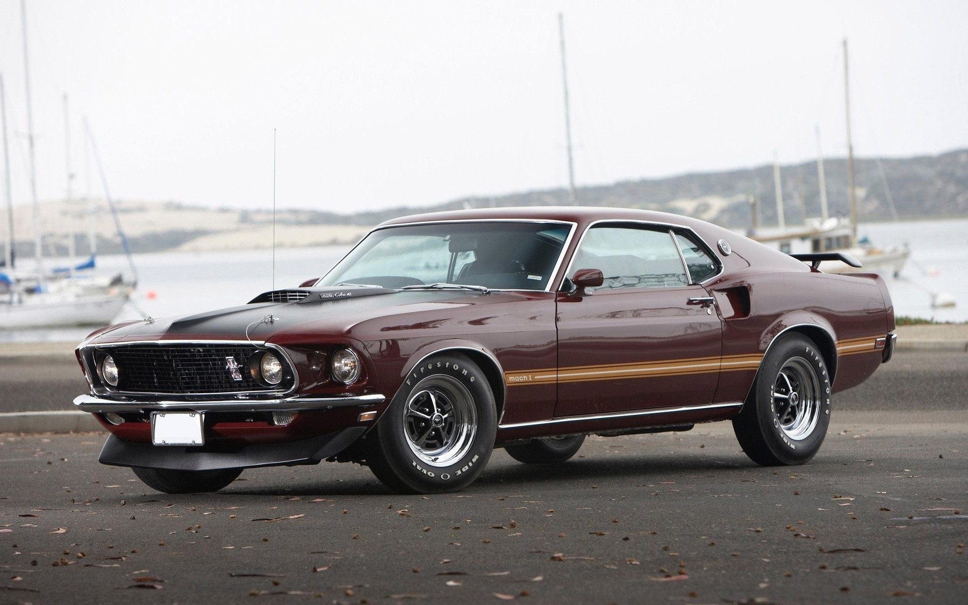 1969 Ford Mustang Guide