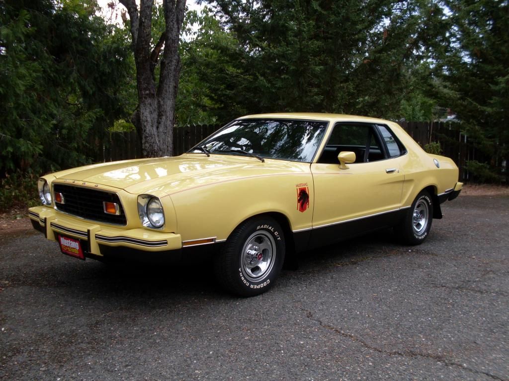 1976 mustang Stallion