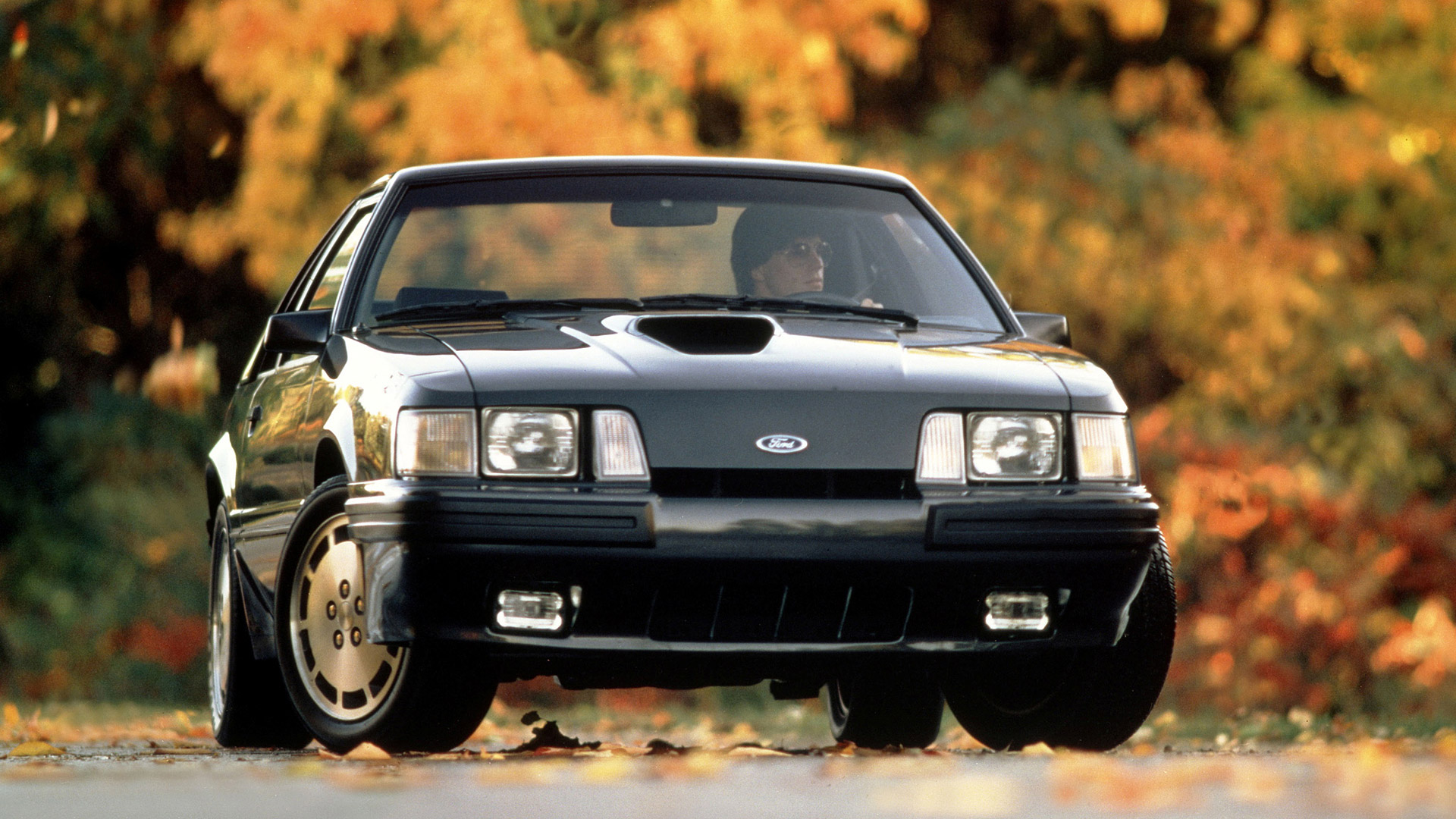 1984 Ford Mustang Ultimate In Depth Guide