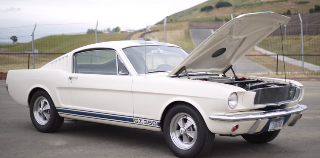 65 Shelby Mustang Video