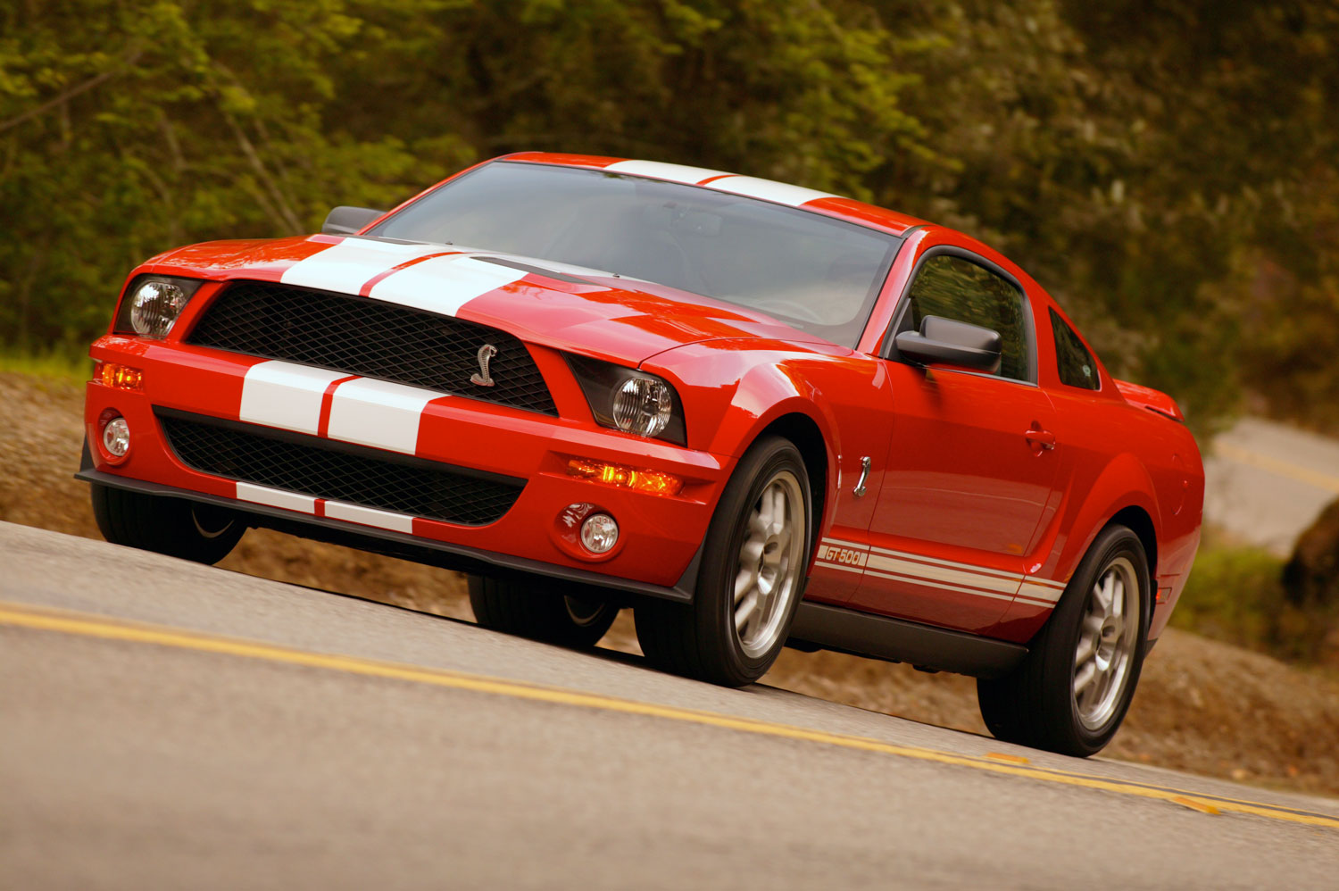 2007 Ford Mustang Shelby GT-500