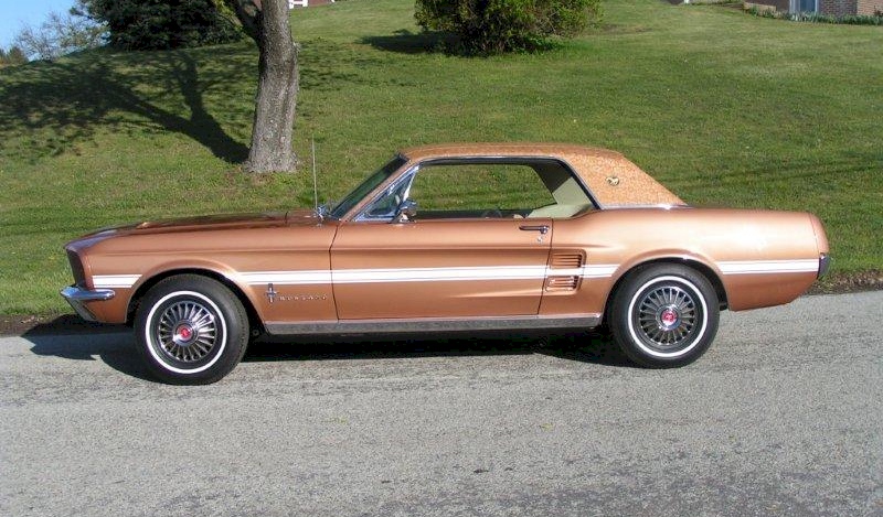 1967 Ford Mustang Branded Special