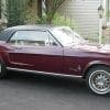 Mustang Sprint