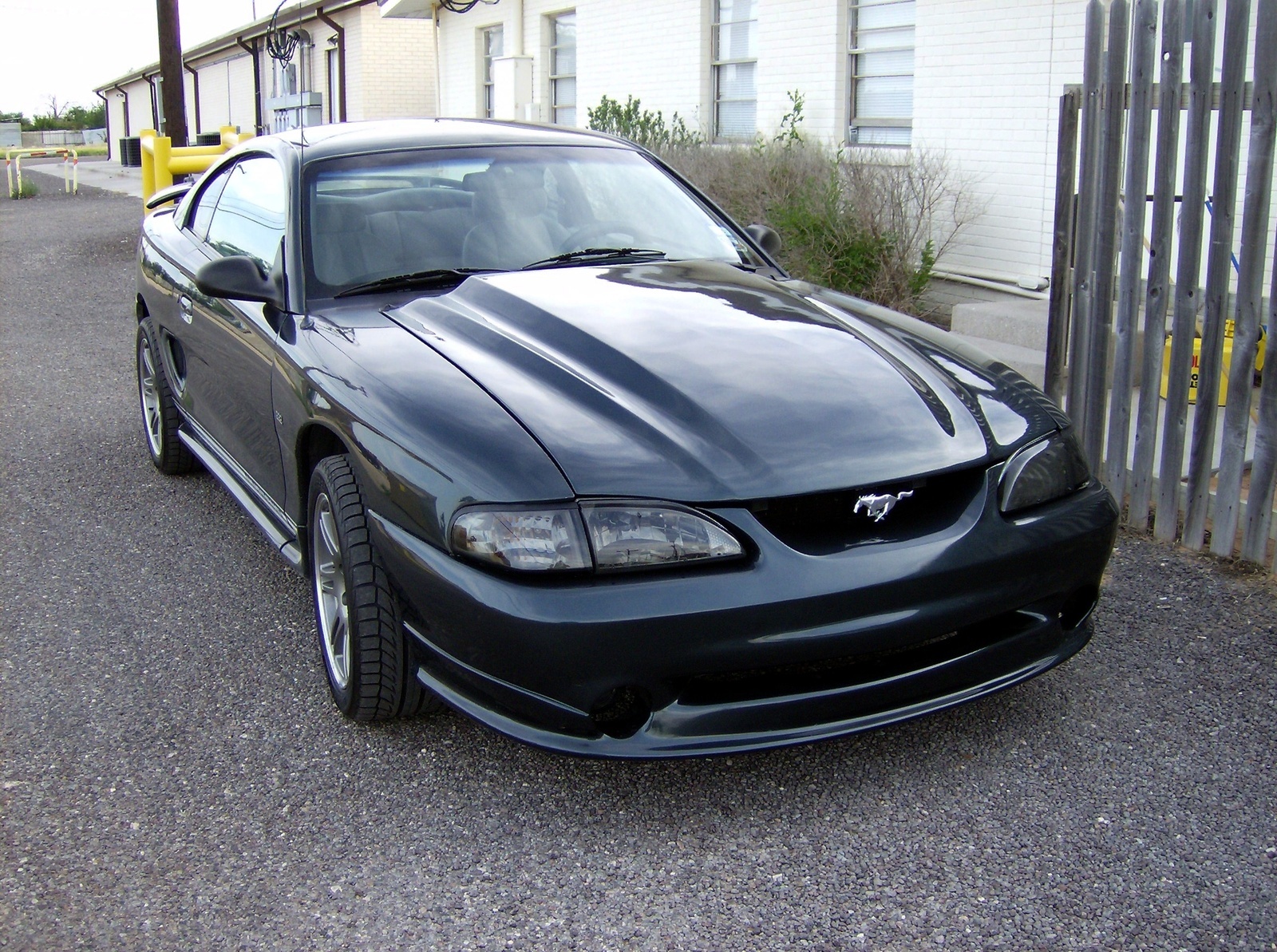 1998 Ford Mustang Options