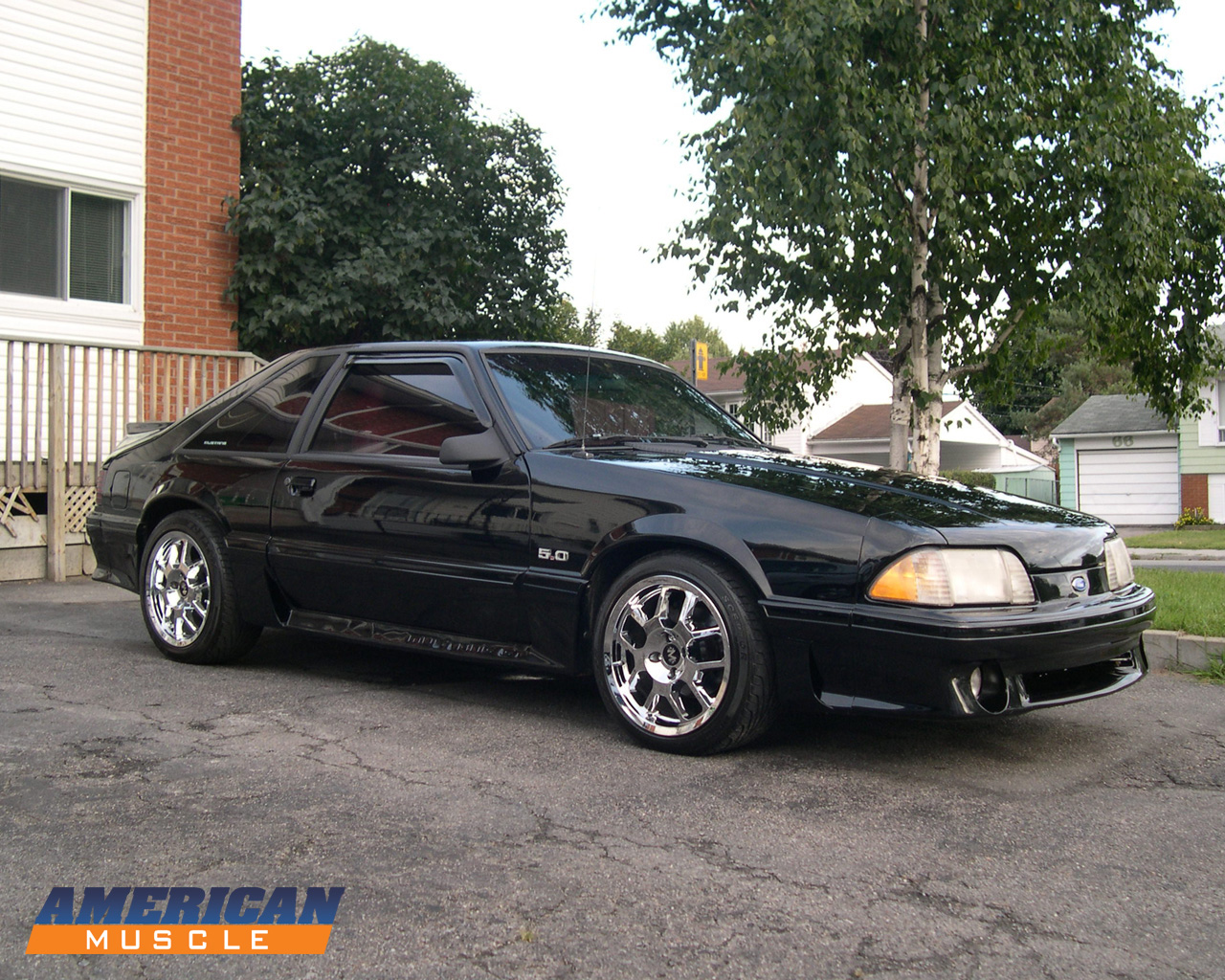 Ford Mustang Cobra 1080P 2k 4k HD wallpapers backgrounds free download   Rare Gallery