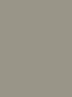 1964-Ford-Mustang-Chantilly-Beige-1.png