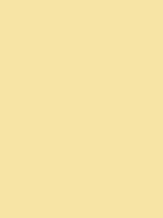 1964-Ford-Mustang-Phoenician-Yellow-1.png