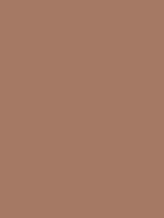 1964-Ford-Mustang-Prairie-Bronze-1.png