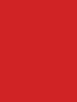 1964-Ford-Mustang-Rangoon-Red-1.png