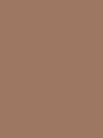 1966-Ford-Mustang-Antique-Bronze-1.png