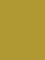 1967-Ford-Mustang-Anniversary-Gold-2-1.png