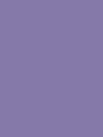 1967-Ford-Mustang-Metallic-Purple-1.png