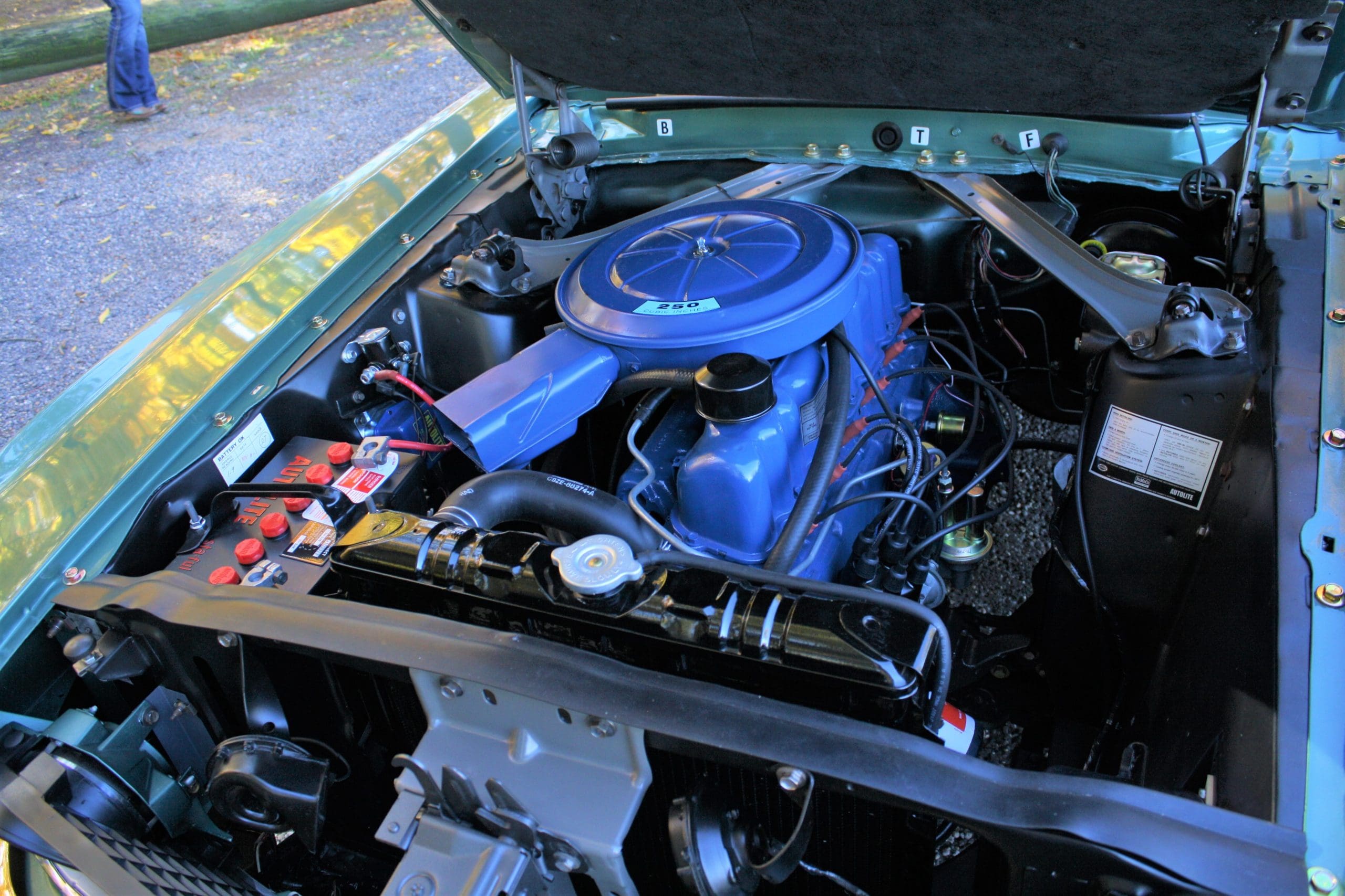 1969 Mustang Engine Information & Specs - 250 Cubic Inch Inline 6