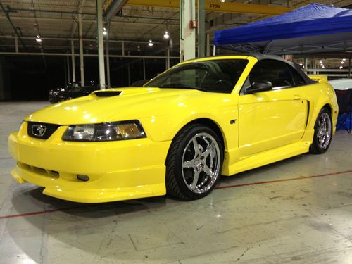 Zinc Yellow 2001 Ford Mustang