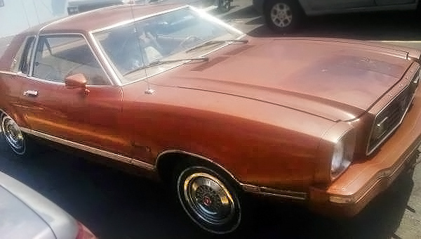 Copper (Medium Chestnut) 1975 Ford Mustang