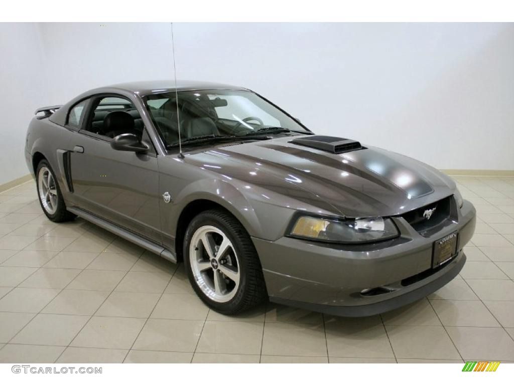 Dark Shadow Gray 2004 Ford Mustang