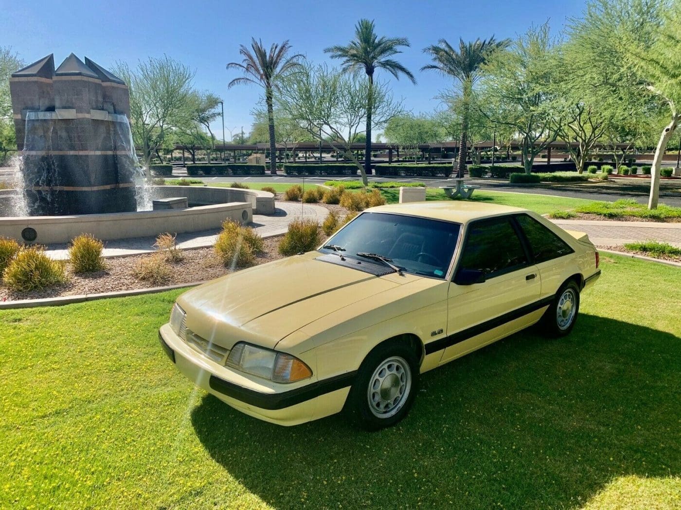 Tropical (Mimosa) Yellow 1989 Ford Mustang