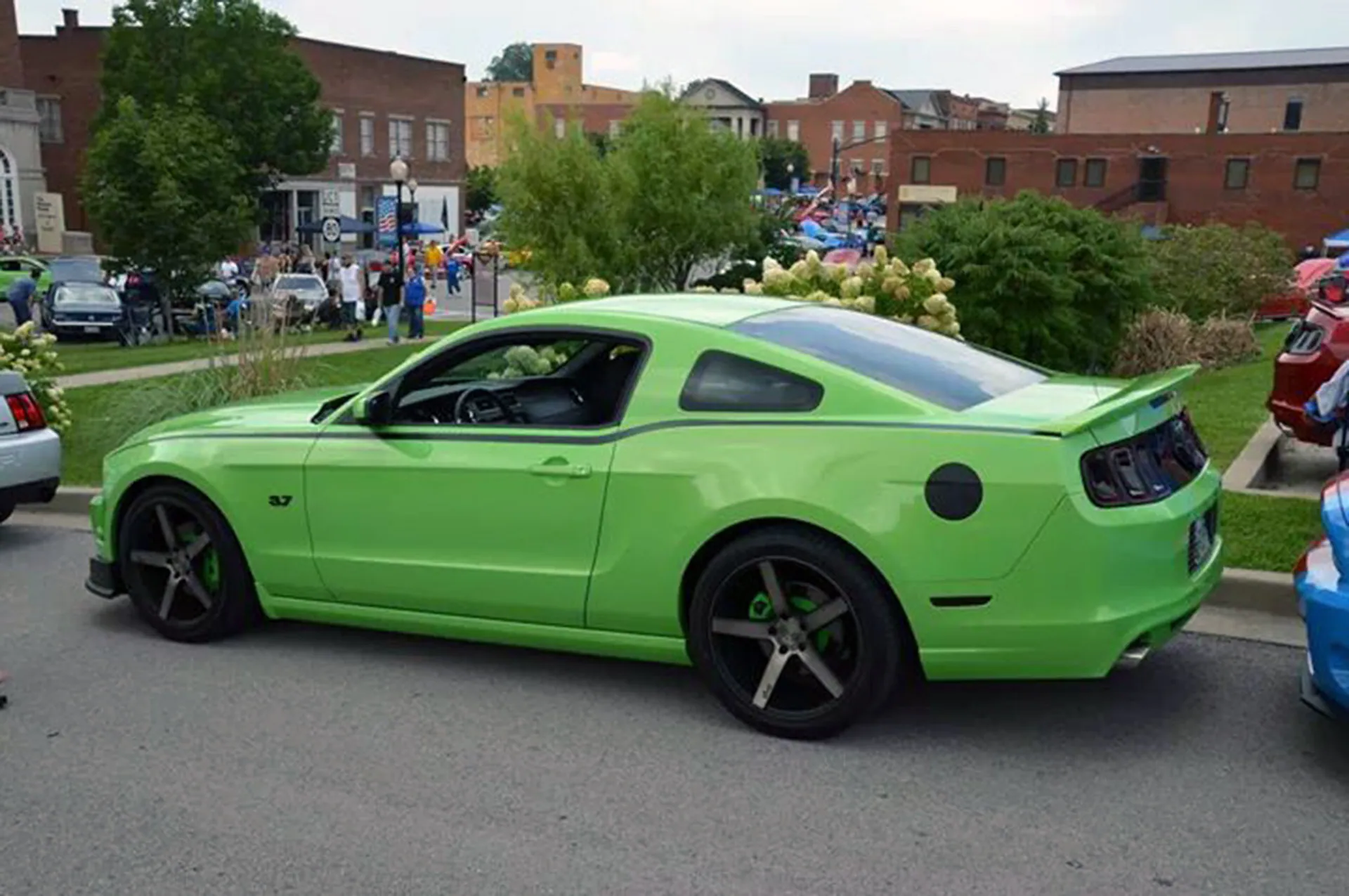 Gotta Have it Green 2014 Ford Mustang
