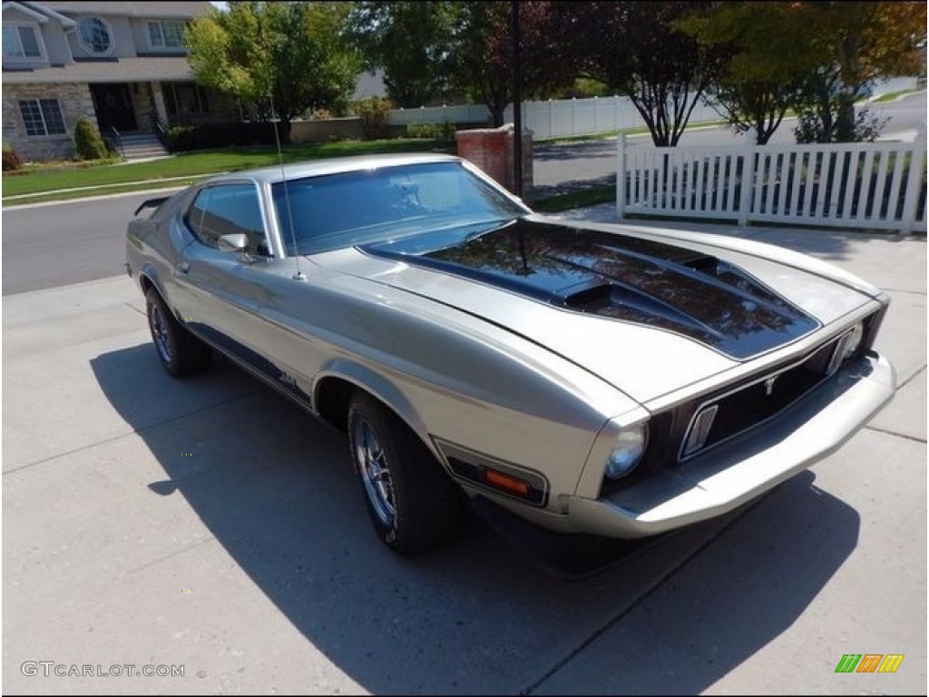 Light Pewter 1973 Ford Mustang