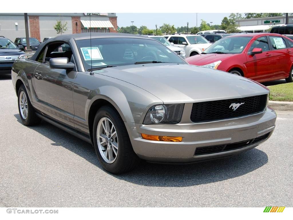 Mineral Gray 2005 Ford Mustang