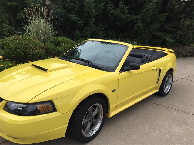 Zinc Yellow 2001 Ford Mustang
