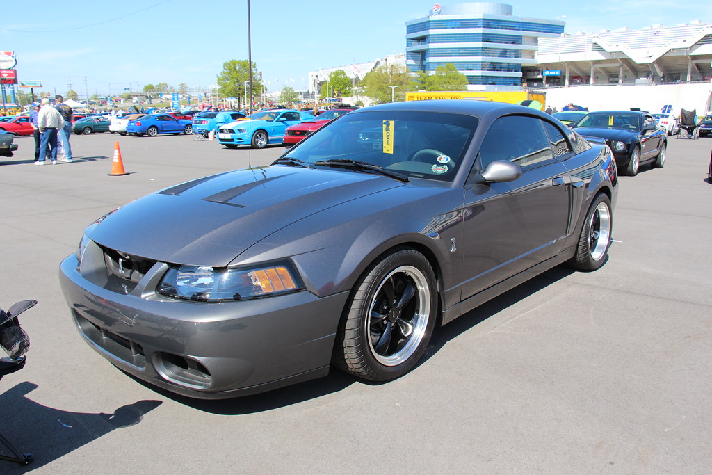 Mineral Gray 2001 Ford Mustang