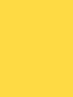 1968-Ford-Mustang-Special-Yellow.png