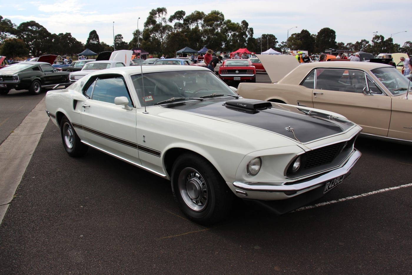 Wimbledon White 1969 Ford Mustang