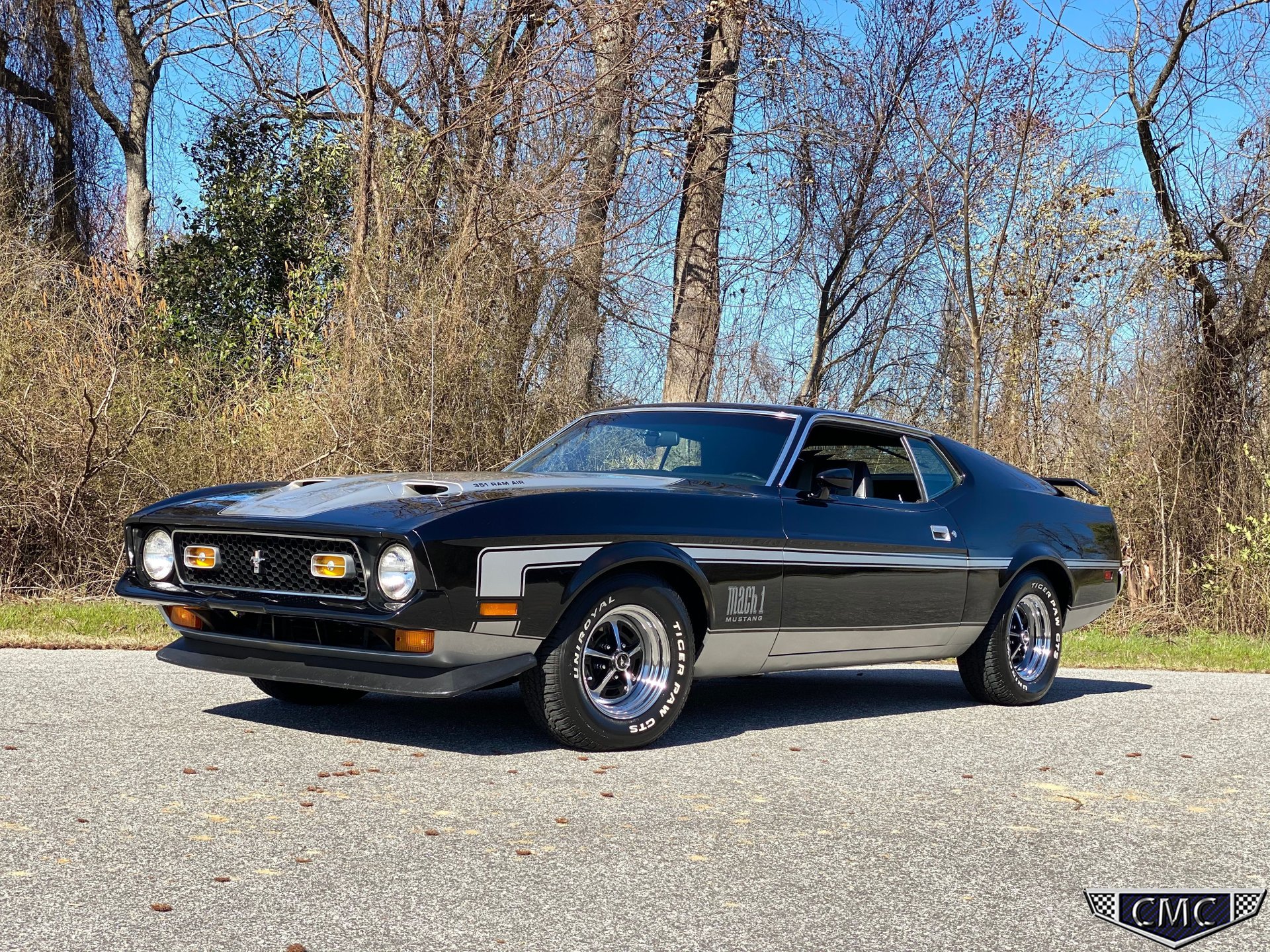 71 Mustang Fastback Mach 1