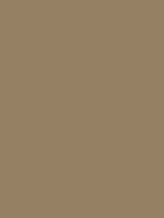 1972-Ford-Mustang-Medium-Brown-Ginger.png