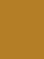 1972-Ford-Mustang-Medium-Yellow-Gold.png