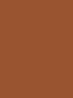 1973-Ford-Mustang-Medium-Copper.png