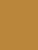 1973-Ford-Mustang-Medium-Yellow-Gold.png