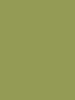 1974-Ford-Mustang-Green-Glow-Medium-Ivy-Bronze.png