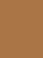 1974-Ford-Mustang-Saddle-Bronze.png