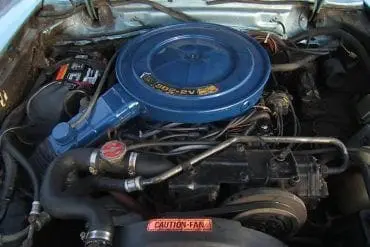 1975 Mustang 302 engine