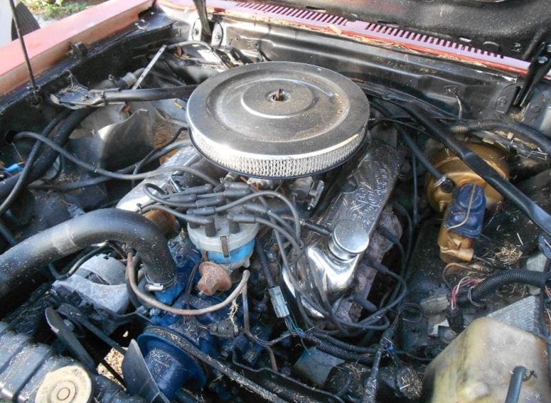 1978 Mustang 302 engine
