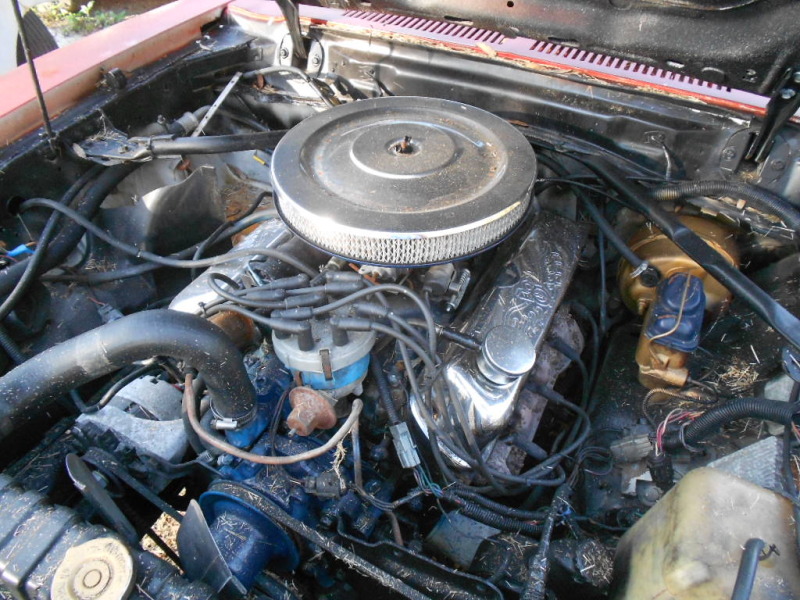 1978 Mustang 302 engine