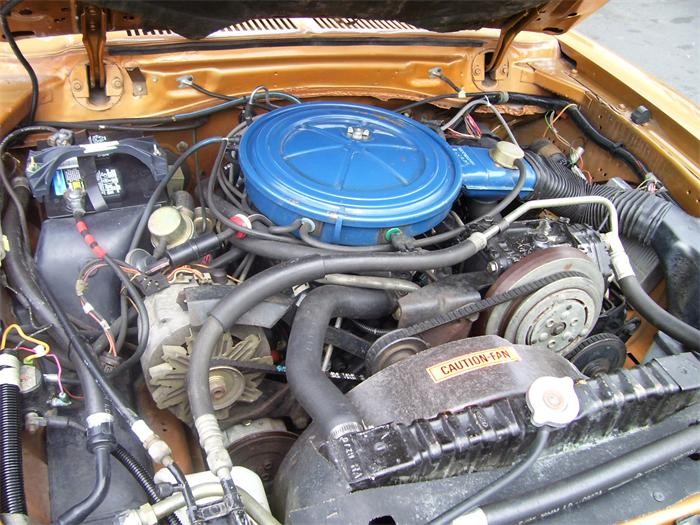  Información del motor Mustang