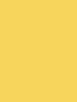 1979-Ford-Mustang-Bright-Yellow.png